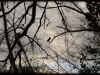 Lumières d'hiver
